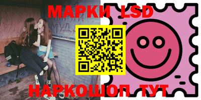 шишки Сосновый Бор