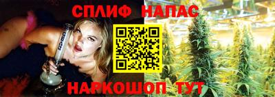 спиды Сосновоборск