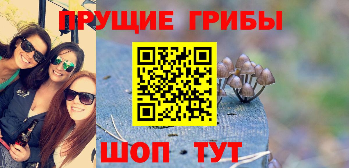 Галлюциногенные грибы Psilocybine cubensis  Вход с VPN  Крымск 